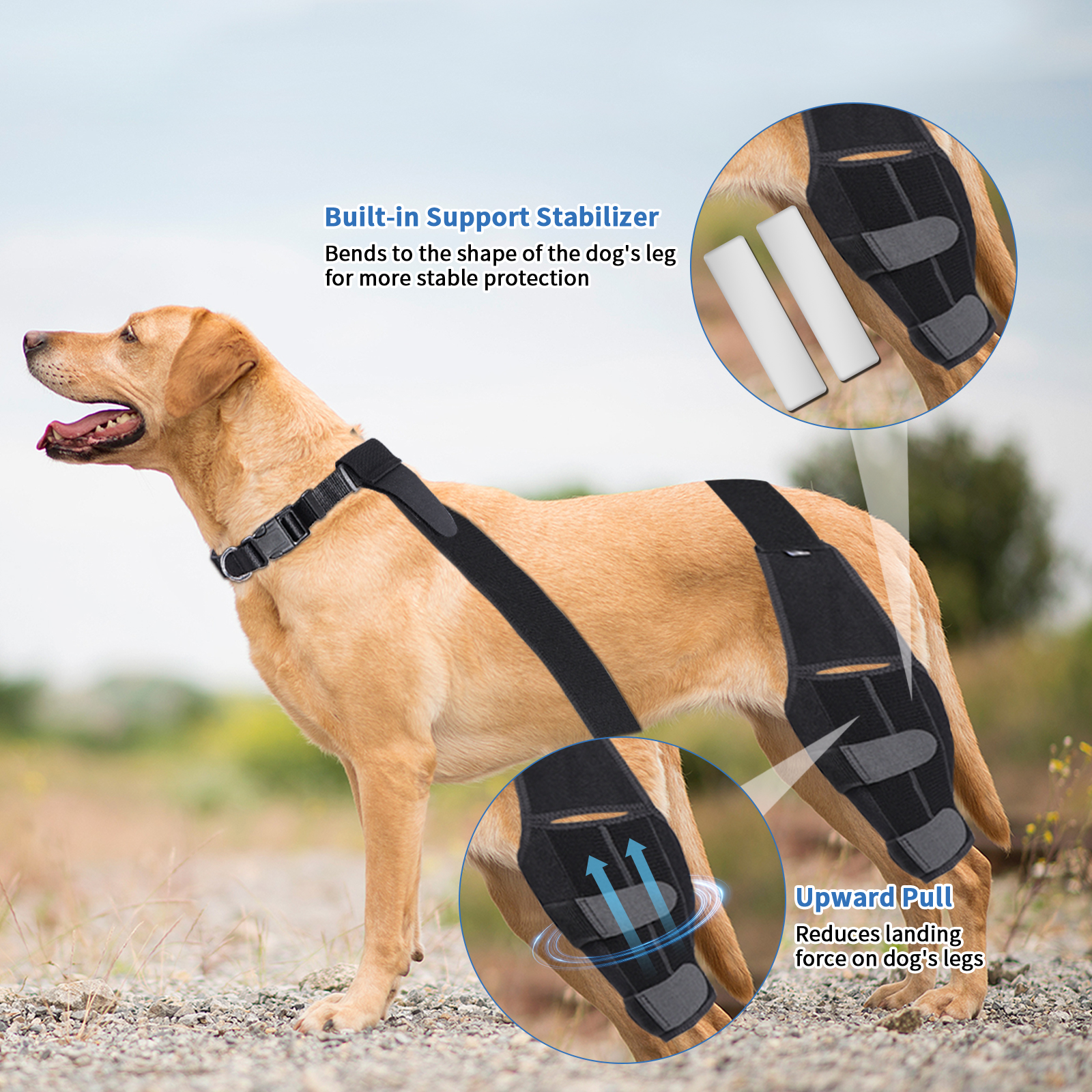 Huisdier Hond Verbanden Hond Blessure Been Knie Brace Bandbescherming Voor Honden Gewrichtsverband Wrap Doggy Medische Benodigdheden Honden Accessoires
