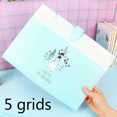 DELI File Folder Expanding Wallet Kawaii Pupil Test Paper Storage and Organizer Bag Office Document Bag Display Book File Folder: C