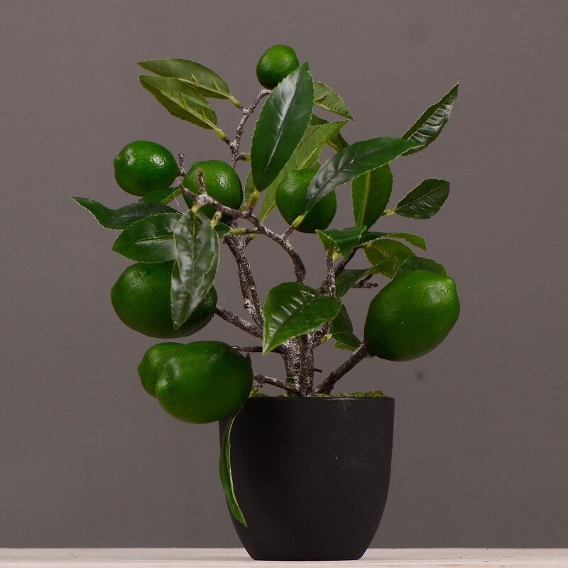 Flower Known Model Persimmon/Pomegranate/Lemon Small Pot Plant Indoor Home Green Plant Bonsai Decoration: Lemon Green
