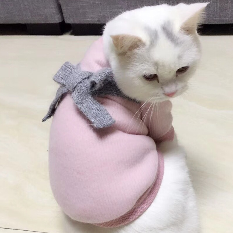 Vinter varmt tøj til små katte hunde sød butterfly kat strikket sweater frakke jakker killing kitty tøj outfits