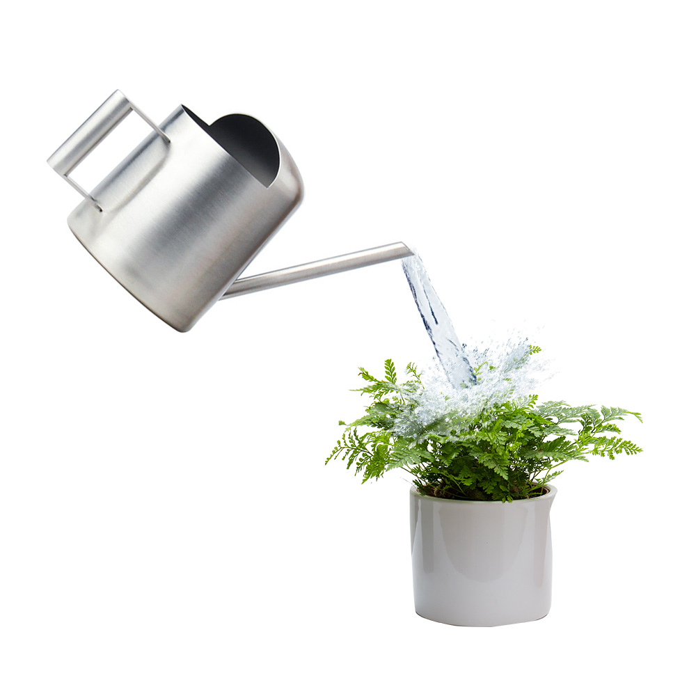 Tuingieters voor bloemen, metaal, 300ml kleine waterflessen, gemakkelijk te gebruiken handvat, perfect voor het water geven van planten, bloemen