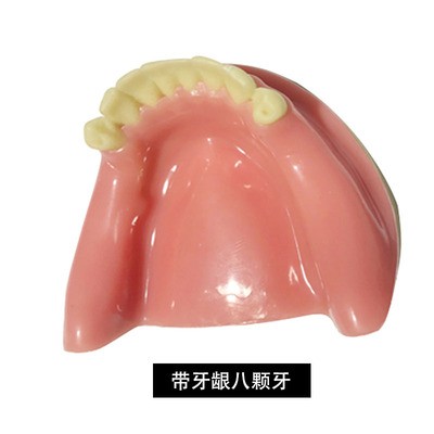 1PCS Dental Mandibular Demonstration Oral Model Implant Practice Maxillary Sinus Teaching Model Soft Gum Training Teeth model: N