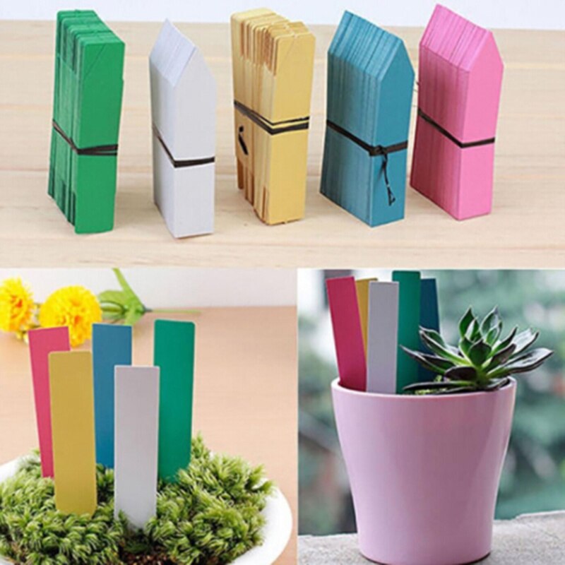 Boom Vruchten Zaailing Tuin Bloempot Plastic Tags Teken Herbruikbare Pvc Planten Tag Labels Classificatie Planten Naam Kaart 100 Stuks