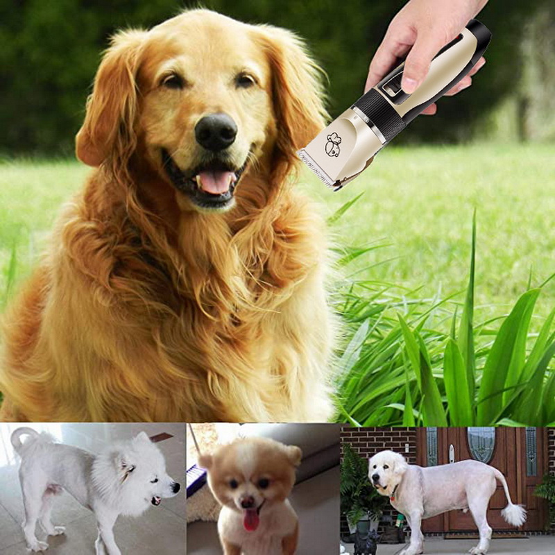 Tondeuse voor huisdieren, hondentrimmer, tondeuse voor dieren, tondeuse voor katten en honden, scheerapparaat met laag geluidsniveau, elektrische tondeuse