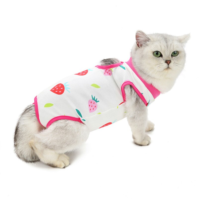 Summer Cat Spaying and neutering Clothes for Small Dogs Cat Clothes Weaning Anti-lick Vest Clothing for Cats Accessories Pet