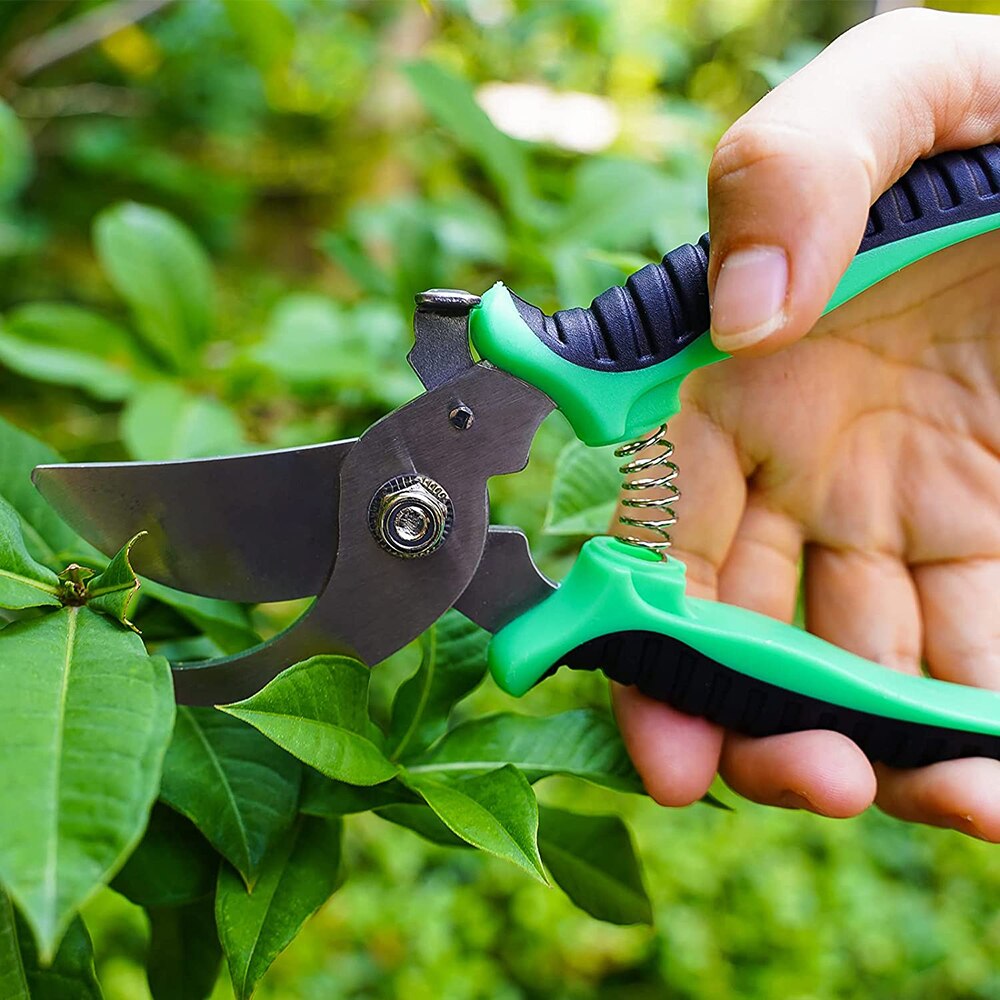 Pruner Garden Scissors Shear Sharp Bypass Pruning Shears Tree Cutter Trimmers Secateurs Hand Gardening Pruning Tool