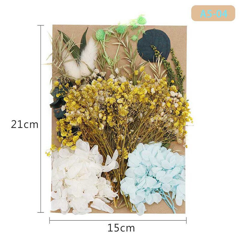 Fleur pressée mélangé fleurs séchées matériel pour bricolage aromathérapie bougies carte de voeux époxy artisanat boucles d'oreilles FAS6: Vert canard