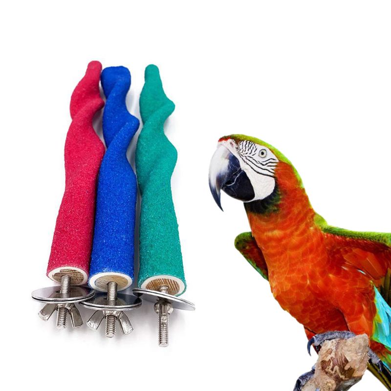 Animal de compagnie en bois oiseau perche Stands oiseau morsure ongles bec meulage bâton perroquet Cage griffe pied meulage formation mâcher jouets