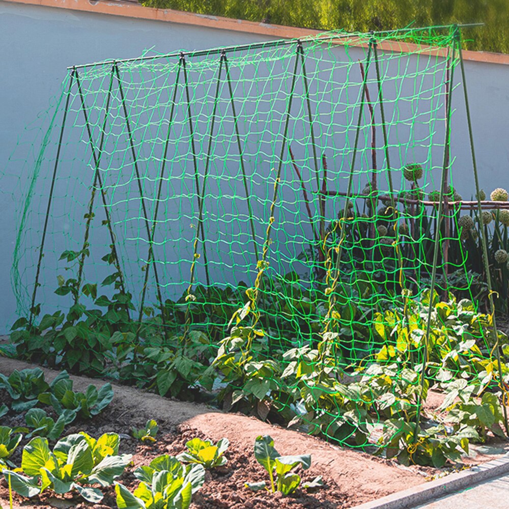 1pc Hi Nylon Garden Netting Loofah Morning Glory Flowers Vine Plants Climbing Net Cucumber Vine Grow Holder Brackets