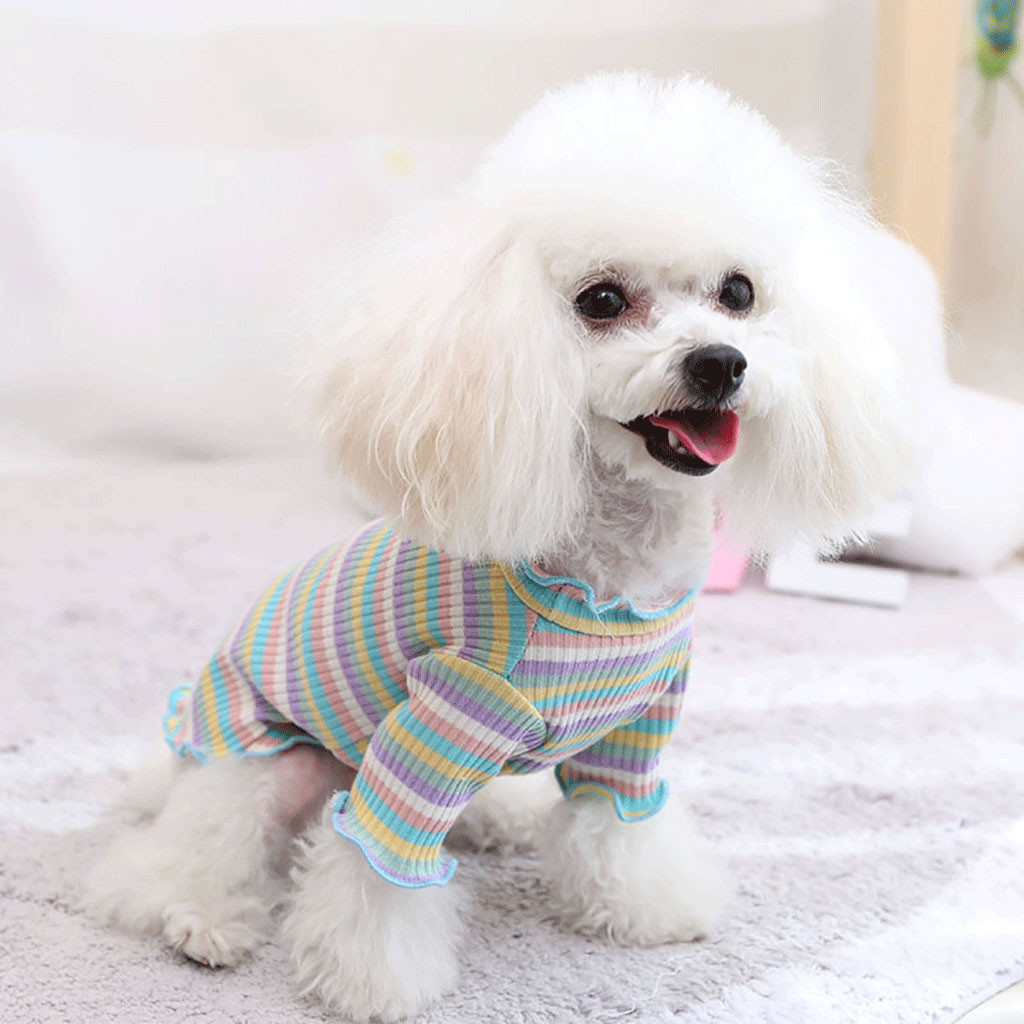Elastic Bottoming Shirt Pet Dog Clothes Puppy Vest T-shirt Shirt Cute Rainbow Pajamas Cat Winter Cat Puppy Cosstume Apparel*5