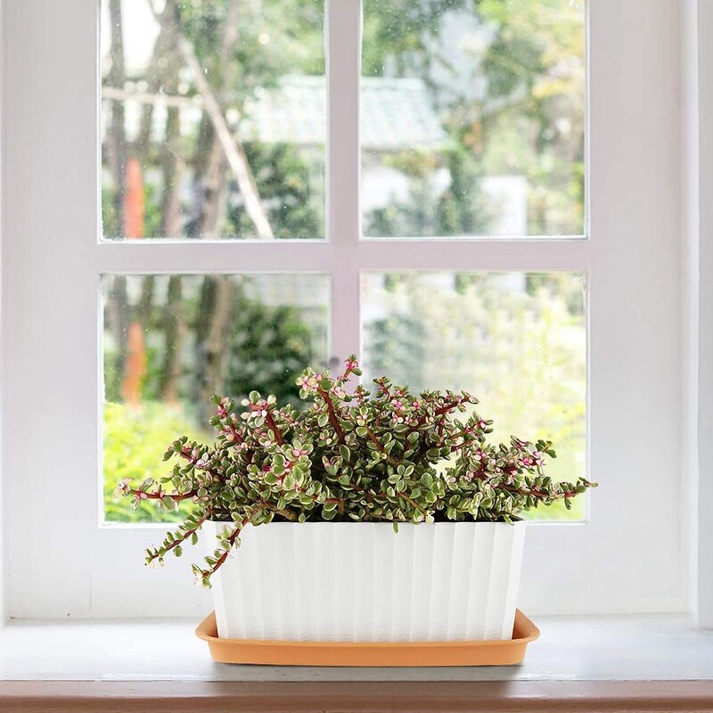 Macetas plásticas para plantas y platillos de 16 pulgadas de cada conjunto de 4 pote de flor bandeja resina planta goteo Base bandeja