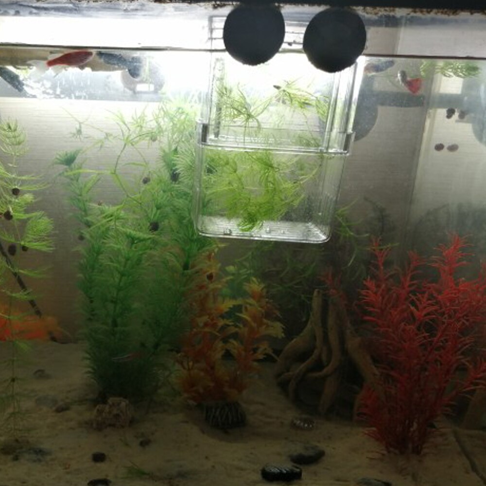 Double-Deck Transparent Aquarium Hatchery Breeder Isolation Box Incubator Holder Acrylic Fish Tank Breeding Aquarium Hatching