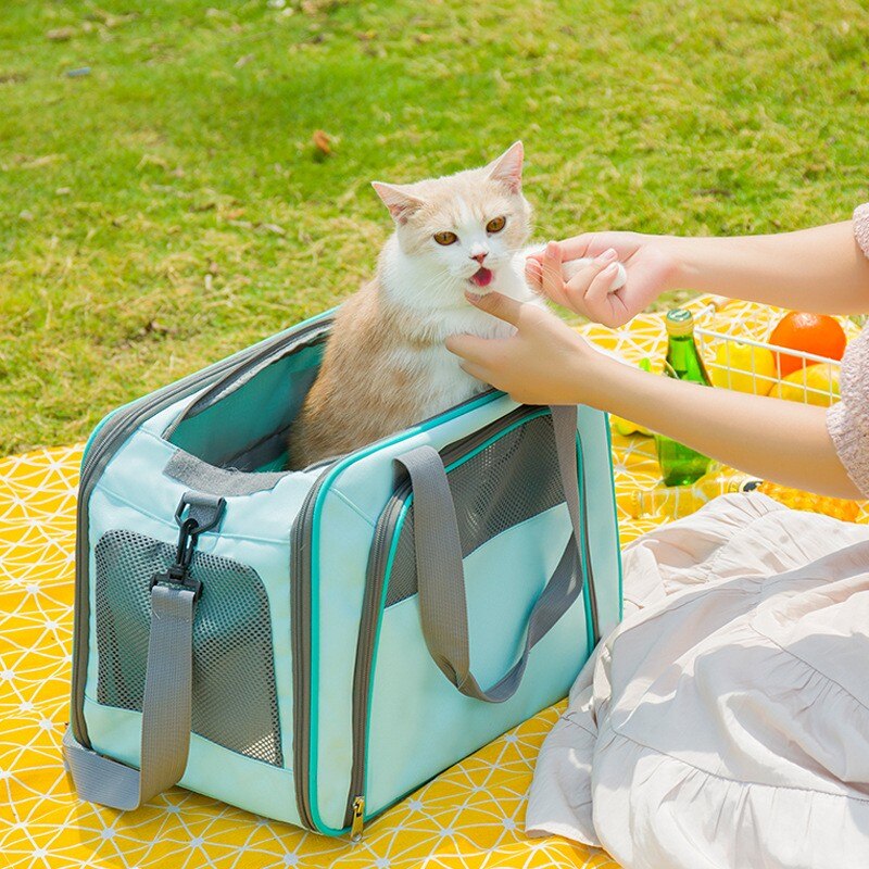 LDLC-Bolsa de transporte para mascotas, bolso portátil de lados suaves para gatos, transpirable, para perros pequeños, de malla transpirable, para viajes