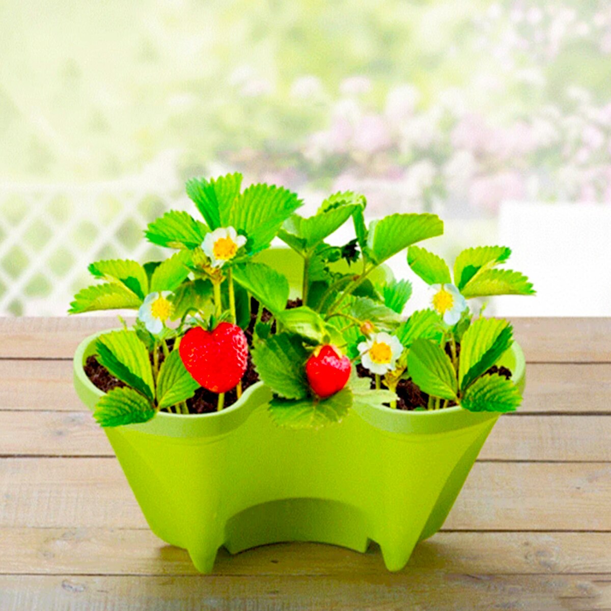 Pot de fleurs Vertical empilable en plastique, support universel de semis, plateau à roues, fournitures de jardin pour la maison