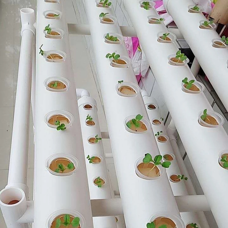 50Pcs Planten Mand Plastic Hydrocultuur Groente Planten Mand Grondloze Teelt Planten Blauw Cup Wortel Fixer