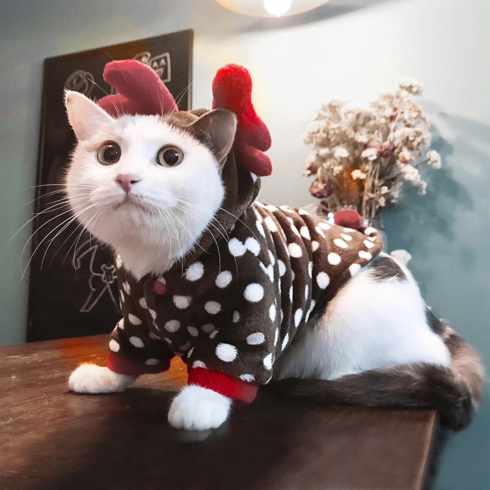 Hoopet Huisdier Hond Kat Herfst Winter Kerstmis Twee Voeten Kleren Jas Overalls Kostuum Warme Jas