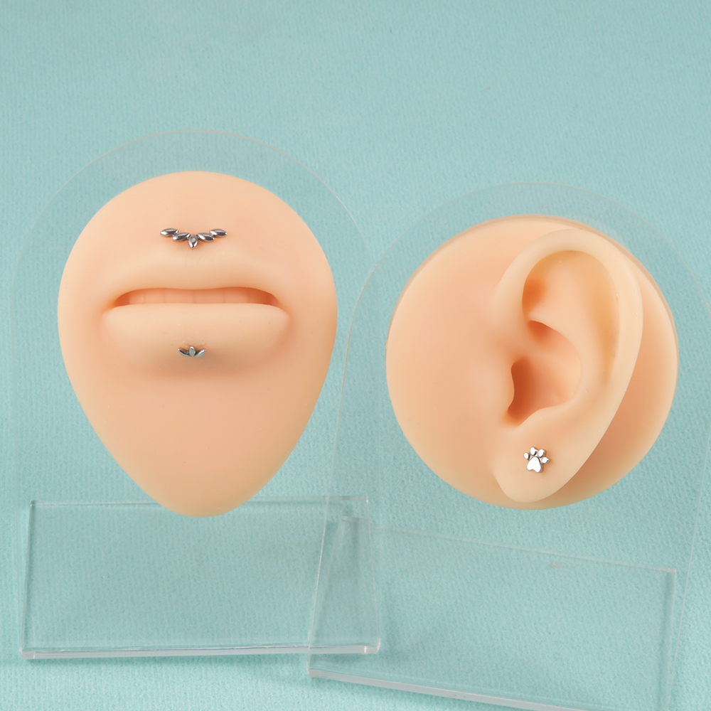 1Pc Rvs Klauw Oren Biculus Kraakbeen Piercing Vijf Marquis Oor Flap Oorbellen Vrouwelijke Punk Labret Lip Piercing Sieraden