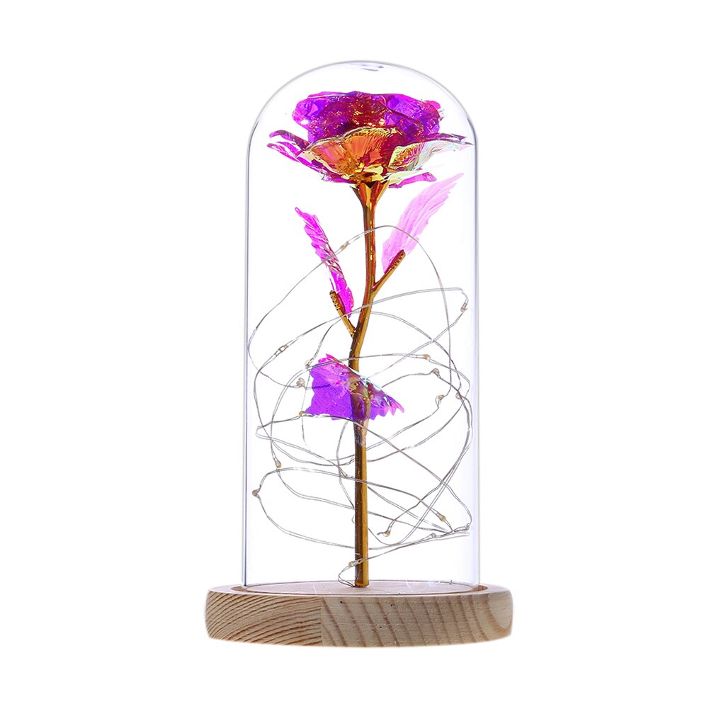 Eterna rosa flor a beleza e besta rosa em uma cúpula de vidro lâmpadas led decoração de casa casamento natal presente do dia dos namorados: Prata