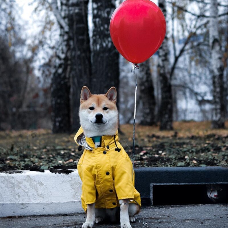 Chubasquero amarillo impermeable para perro, ropa Retro para mascotas, ropa para cachorros, chaqueta, suministros para mascotas