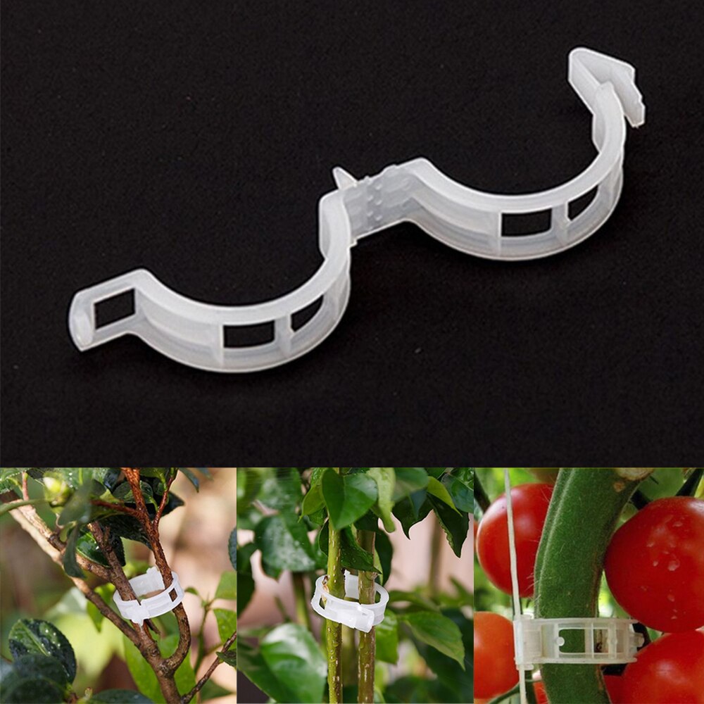 50pcs Reusable Plastic Plant Support Clips Clamps For Plants Hanging Vine Garden Greenhouse Vegetables Tomatoes Clips