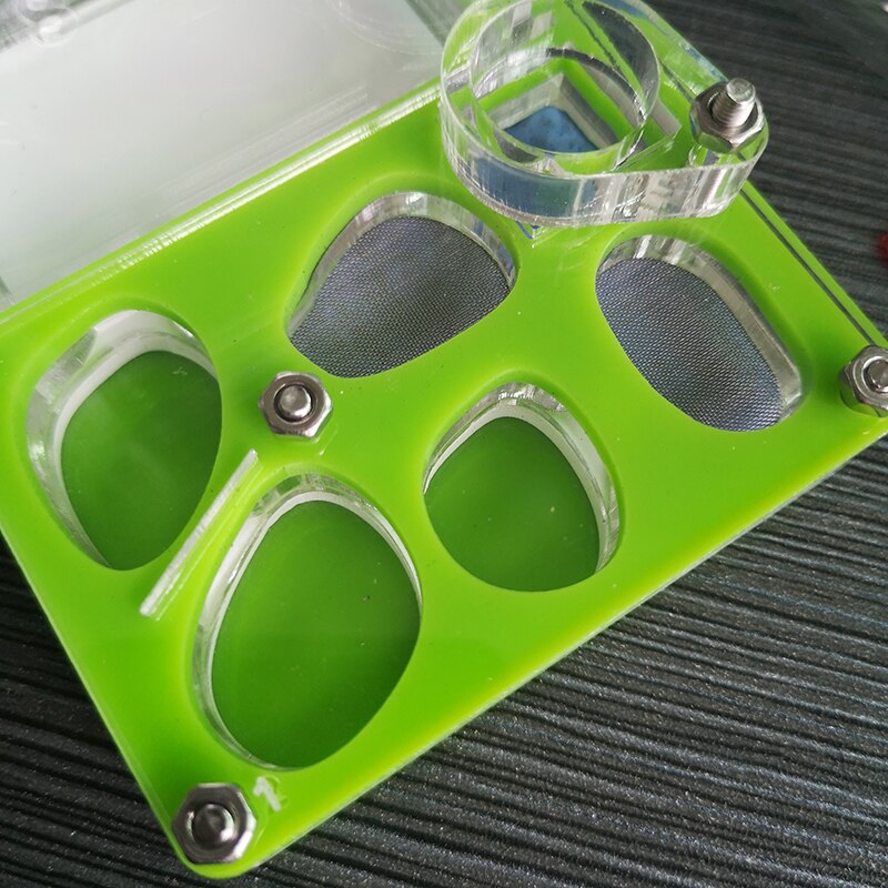 Green Plane Ant Nest Acrylic Ant Small Community Terrarium Ants Farm House With Water Tower