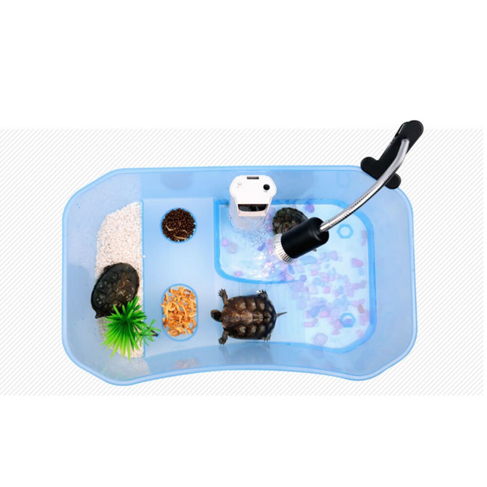 Schildpad Tank Reptile Habitat Reptiel Aquarium Tank Schildpad Live Kweekbak Met Platform Planten