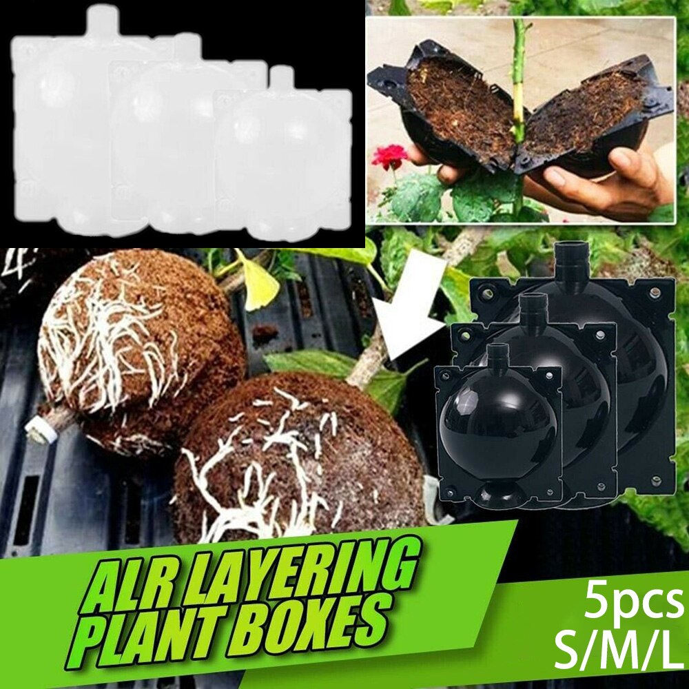 5PCS Botany Plant Rooting Root Device Pressure Propagation Ball Box Grafting Climbers Trees Fruit Bushes Breeding Growing Box