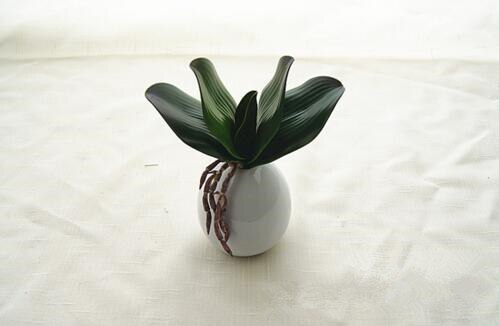 1pcs Real touch phalaenopsis leaf artificial plant leaf decorative flowers auxiliary material flower decoration: S