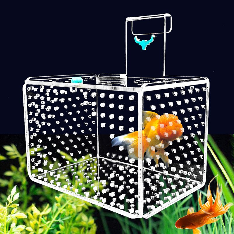 Akvarium akvarium akryl isoleringslåda bebis fiskar avel påfågel betta yngel kläckningslåda skyddande vattenlevande husdjursförnödenheter