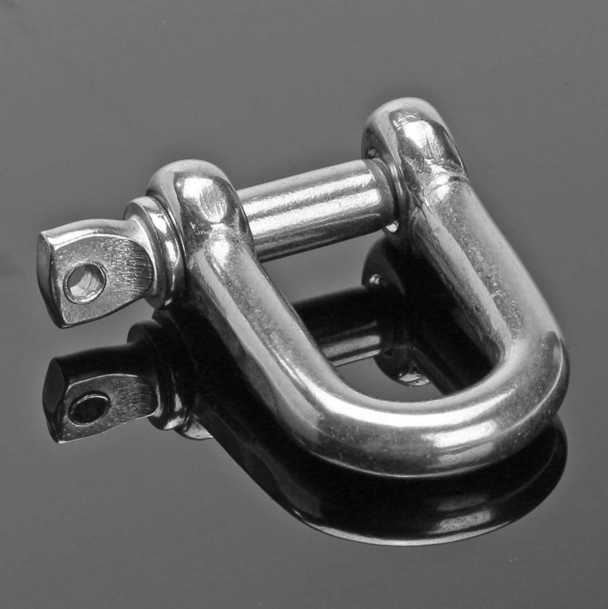 10Pcs D Shackle Stainless Steel 316 Breaking D Rigging Anchor Shackle Screw Hooks Boat Rigging Hardware for Paracord Bracelets