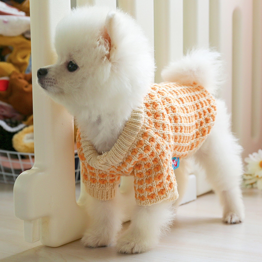Ropa perros pet tøj til små hunde hættetrøje hvalp efterår vinter blød og varm orange hund frakke jakke kæledyr forsyninger hundetrøje