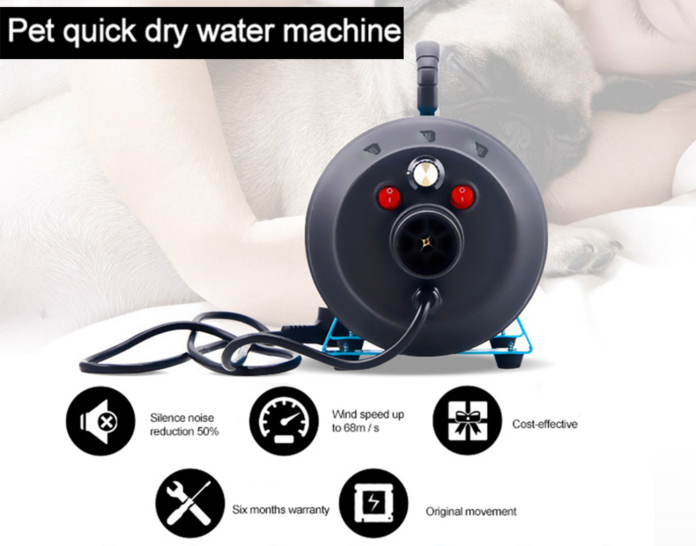 Dog Dryer Strong Power Stepless Speed Pet Dryer Low Noice Hair Dryer For Dogs