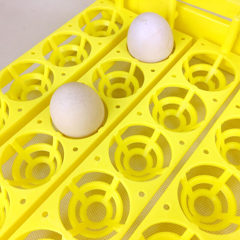 Automatische Broederij Machine Onderdelen Gevogelte 110V 220V Capaciteit 56 Eend Kip Plastic Eierrekje Voor Incubator Met Auto turn Motor