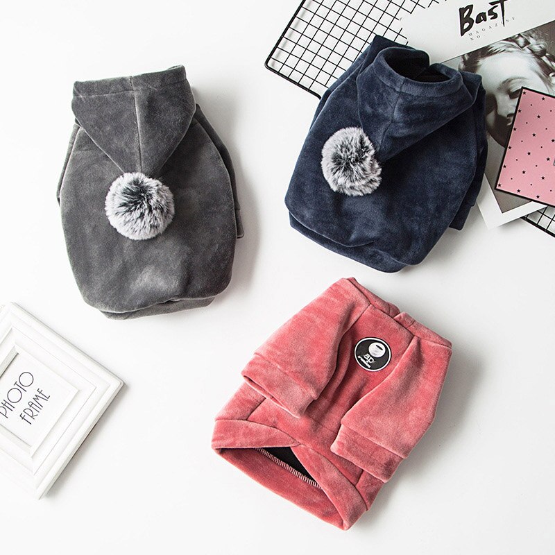 Vinter kæledyr hund tøj mops fransk bulldog tøj til hunde frakke fed hund jakke hvalp kæledyr tøj til hund hættetrøje ropa perro york