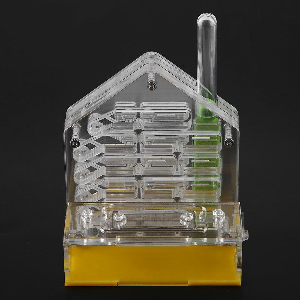 Nido de hormigas acrílico, Villa, casa de granja, formicario para alimentación de hormigas, cría de insectos pequeños, suministros de animales de granja
