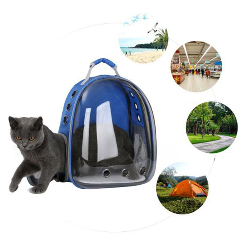 Udendørs bærbar bærer gennemsigtig kæledyrs taske åndbar plads kapsel bærerygsæk til lille kattehund