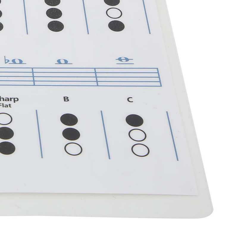 Trumpet Chord Chart Trumpets Note Guide Clear for Home