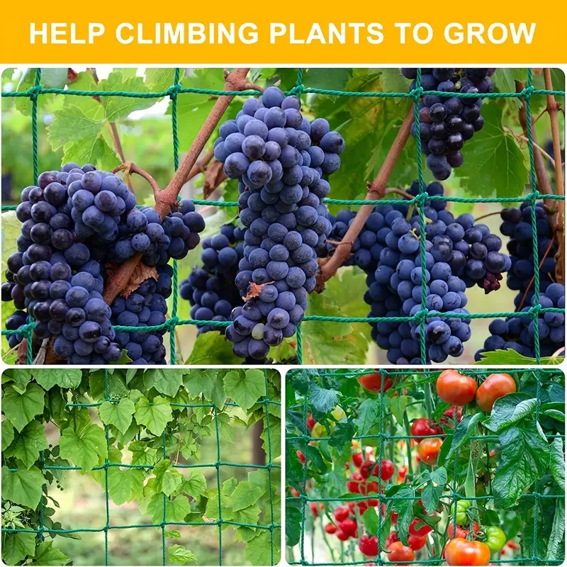 1PCS Trellis Netting Outdoor Heavy Duty Nylon Plant Climbing Netting Plant Net for Cucumber Tomato Fruits Vegetables Grapes