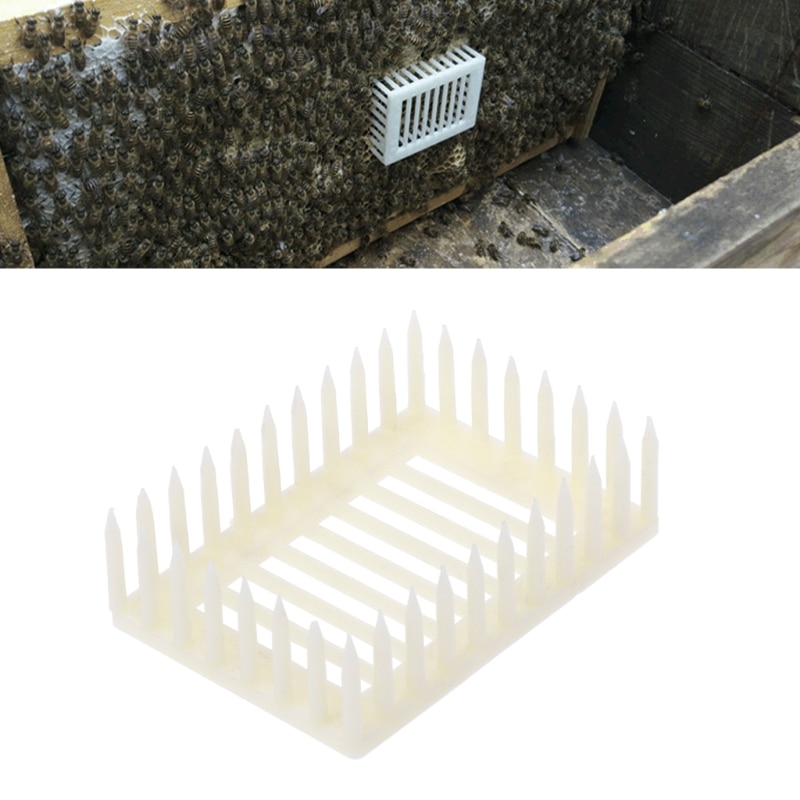 Caja de abeja tipo aguja carcasa indicadora de reina de plástico Clip receptor de abejas equipo de herramientas de abeja Apicultura