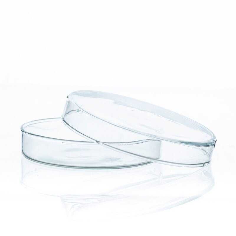 10Pcs 1lot/ glass petri dish borosilicate glass transparent with cover high temperature resistance for 60mm