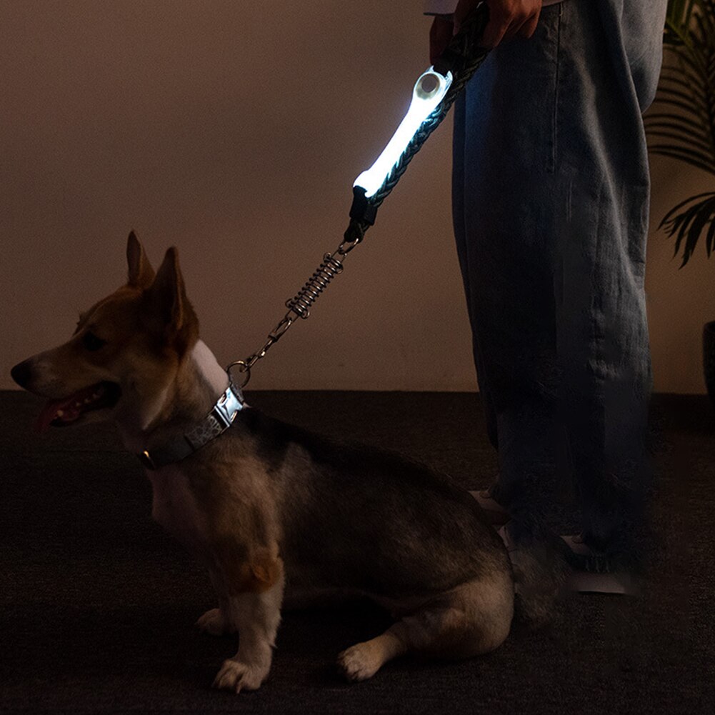 Hond Kraag Licht Dierbenodigdheden Battery Operated Led Knippert Verhoogde Zichtbaarheid Outdoor Wandelen Gloeiende Waterproof Night Veiligheid: WHITE