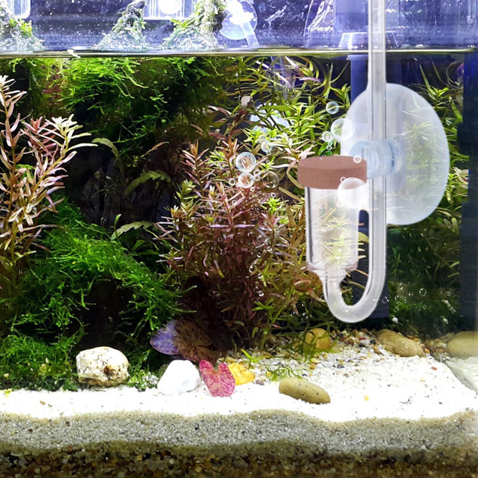 Acrylic Clear Aquarium CO2 Diffuser CO2 Dioxide Atomizer Check Valve Replacement Exchange Aquarium Plant Tank