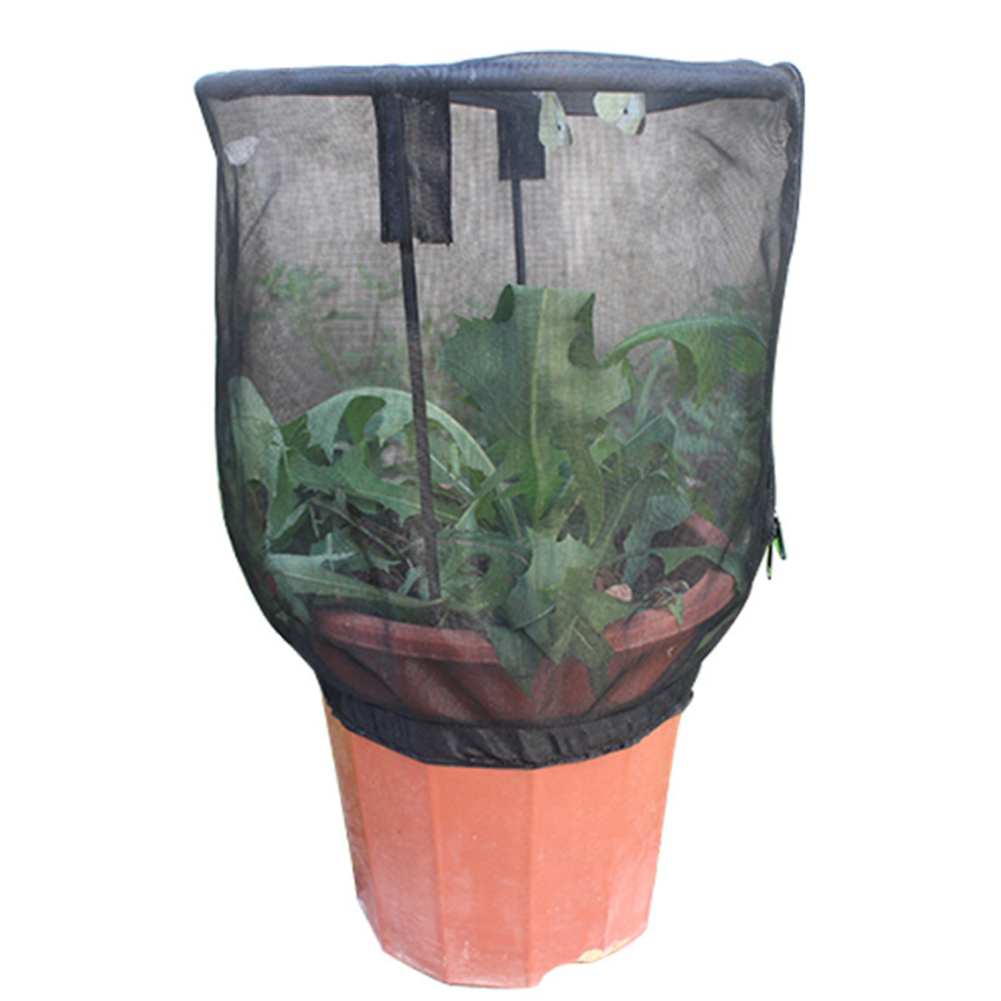 Pot de fleurs Portable Terrarium pour enfants | Cage d'habitat papillon, filet d'alimentation pour insectes, couverture de levage de jardin, plante ornementale, parasol