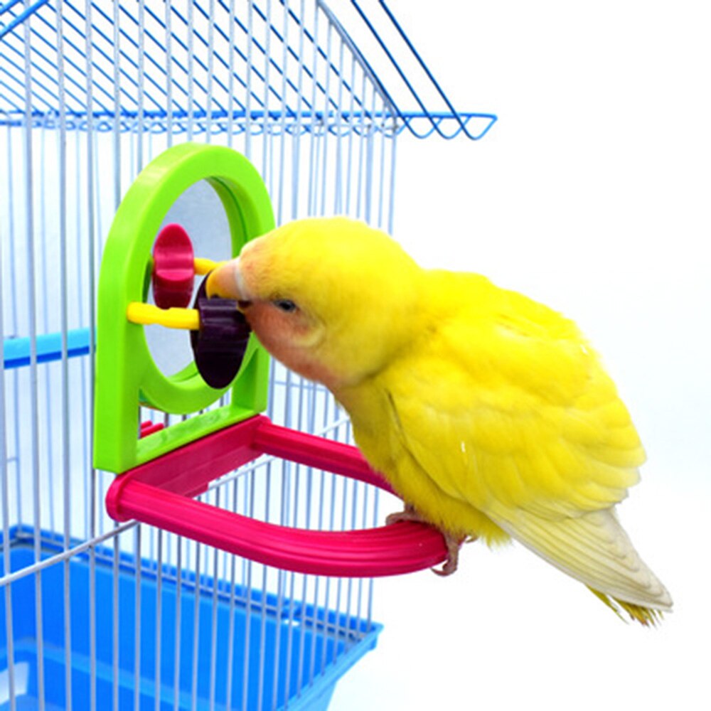 Parrot Bird Toy Supplies Chew Fun Mirror Stand Rod Biting Fun Mirror Stand Pole Small Bird Cage Play Equipment