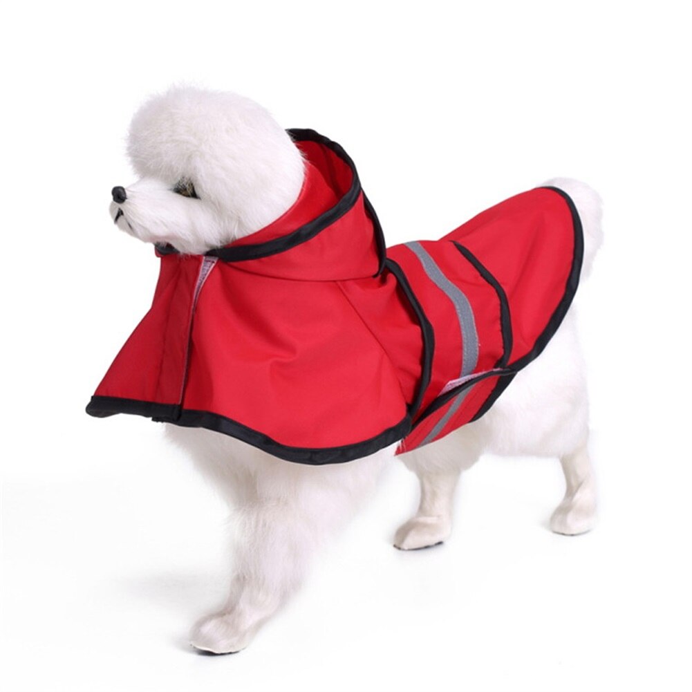 Hondenhoed - Hond Verjaardag Hoed | Kattenkleding