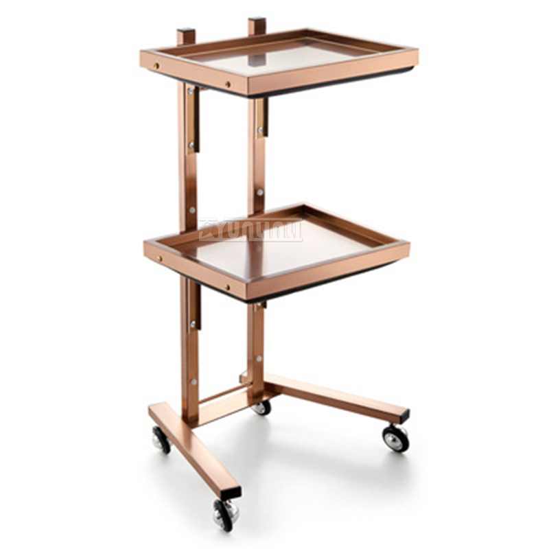 Ss304 Schoonheidssalon Mobiele Kar Opvouwbare Haarwagen Met Wielen Salon Opslag Multifunctionele Trolley Kar Voor Keuken Badkamer Spa: MULTI
