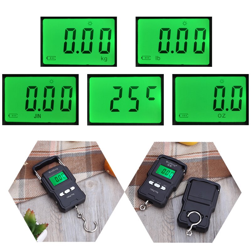 75Kg/10G Portable Hanging Scale Digital Display Charging/Battery Models Fishing Luggage Travel Weighing Electronic Hook Scale