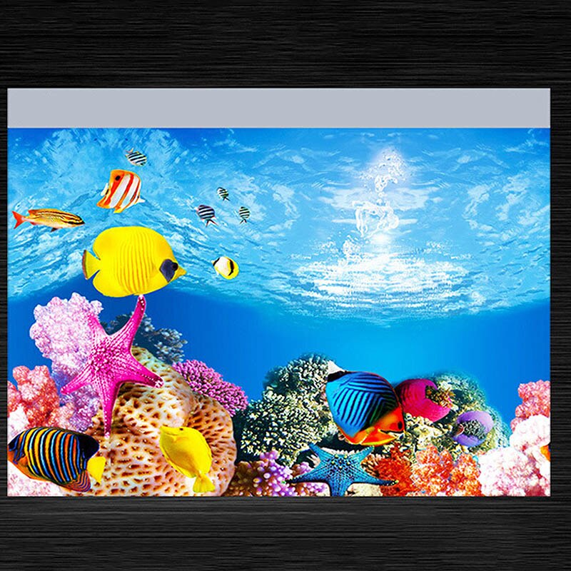 Fish Tank Background HD 3D Drawing Aquarium Glass Wall Background Drawing Double Sides Decorative Sticker