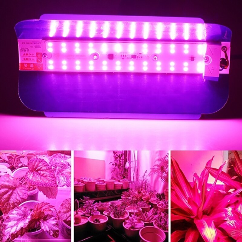 30w/50w/100w ledet vekstlys fullspektret plantelys  ip65 vanntette kolbe ledet dyrkingslamper til blomster innendørs fytolampe