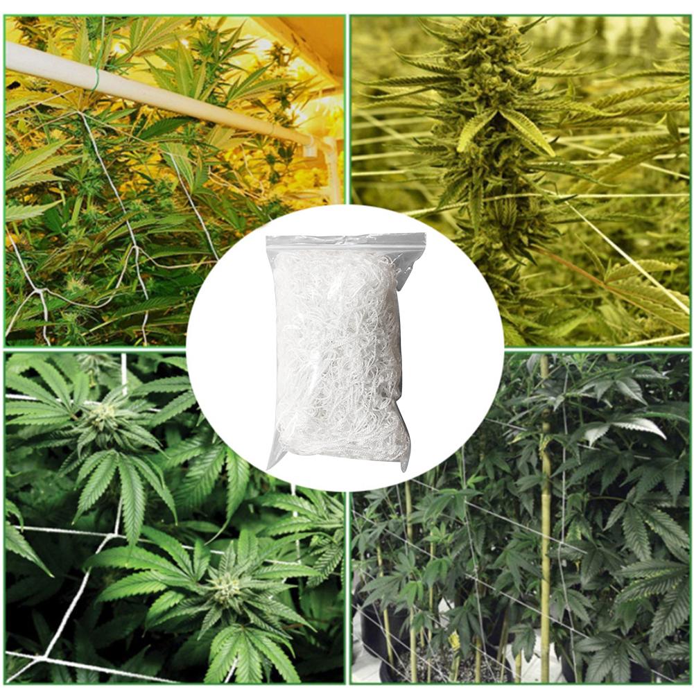 1.7 x 20m planter espalier netting plante hagearbeid vevd polyester fast nylon hagenett til bønner erter agurker tomater